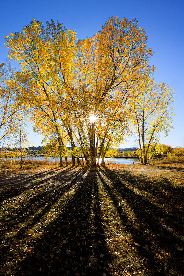 A Nebraska scenic landscape photograph of autumn trees and sunlight at Fort Robinson State Park. - Nebraska Photography